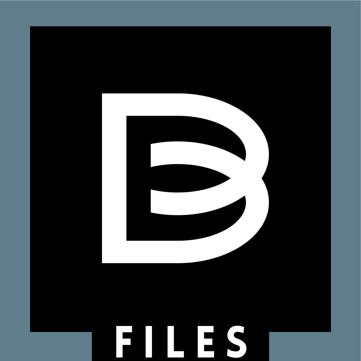 B-FILES